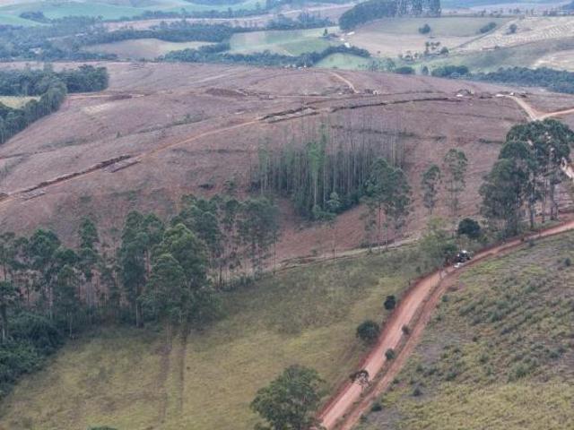 Fazenda à venda, 14510000 m² Ipuiúna/MG