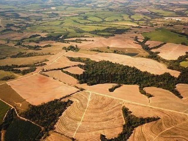 Fazenda à venda, 1597200 m² por R$ 13.200.000,00 Bananal do Avecuia Porto Feliz/SP