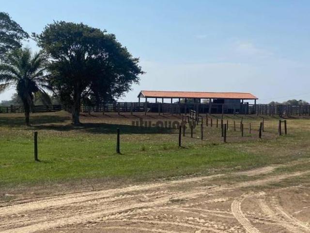Fazenda à venda, 151000000 m² por R$ 120.000.000,00 Zona Rural Corumbá/MS