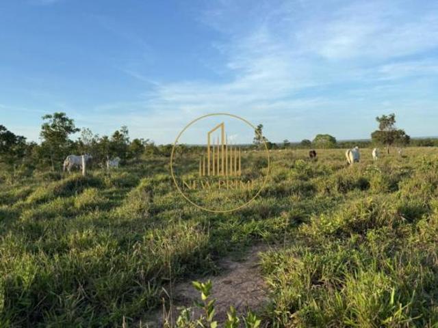 Fazenda à venda, 15 quartos, 2 suítes, 20 vagas, Centro Buritizeiro/MG