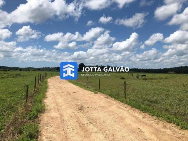 Fazenda à venda, 15 vagas, Centro Iguape/SP