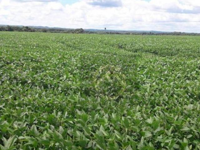 Fazenda à venda, 16431800 m² por R$ 245.000.000,00 Jardim Lindóia Goioere/PR