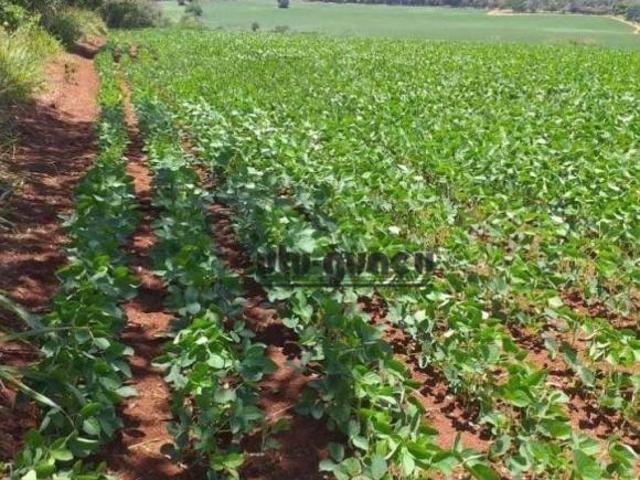 Fazenda à venda, 1669800 m² por R$ 17.000.000,00 Zona Rural Itapetininga/SP