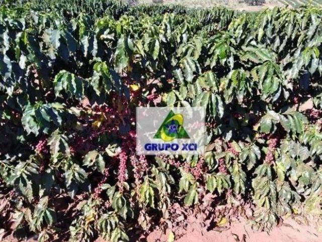 Fazenda à venda, 16740000 m² por R$ 25.000.000,00 Zona Rural Presidente Olegário/MG