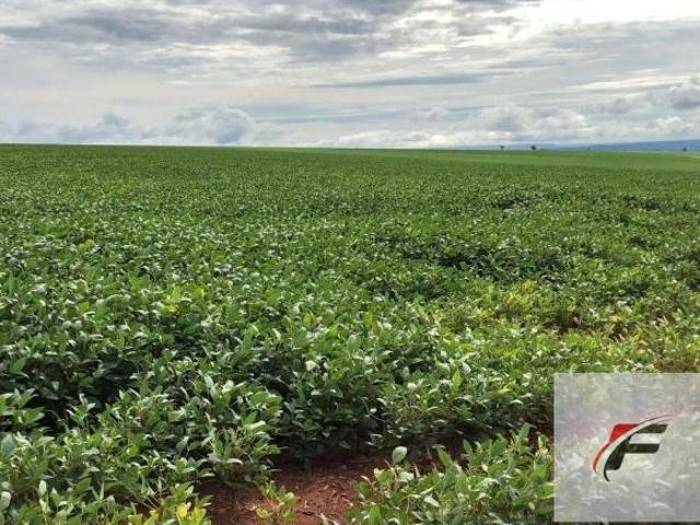 Fazenda à venda, 4162400 m² por R$ 66.000.000,00 Lagoão Jaguariaíva/PR