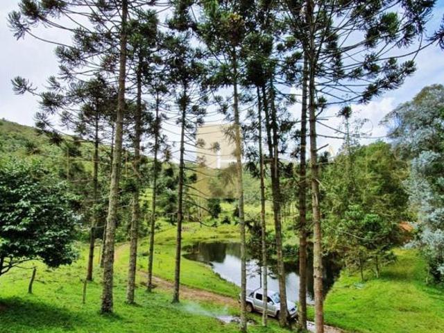 Fazenda à venda, 19360000 m² por R$ 15.000.000 Vale do rio Formoso São José do Barreiro/SP