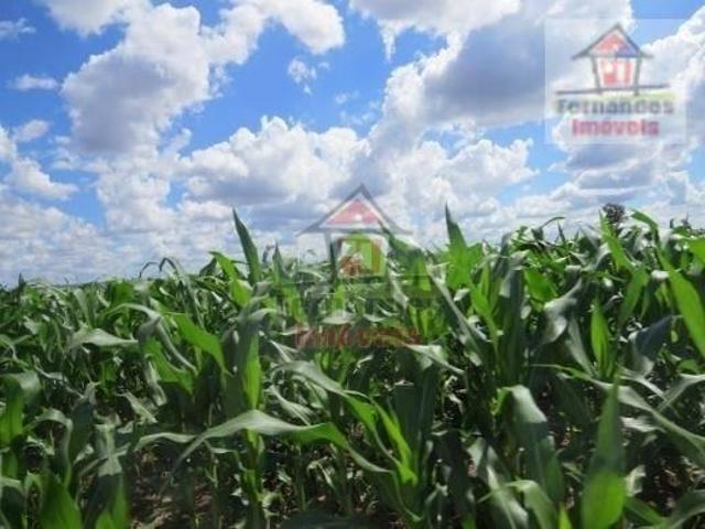 Fazenda à venda 1.450 Há em Dourados/MS