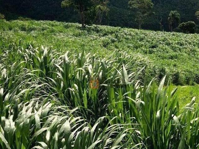Fazenda à venda, 2178000 m² por R$ 11.600.000 Jambeiro Jambeiro/SP