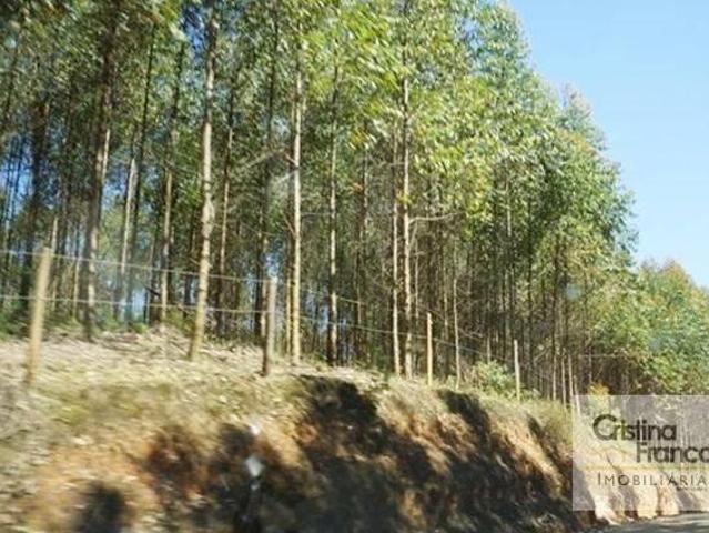 Fazenda à venda, 2420000 m², por R$ 5.500.000 Bairro dos Cravos Guapiara/SP