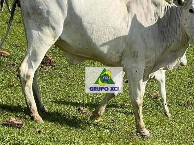 Fazenda à venda, 2541000 m² por R$ 15.925.000,00 Área Rural Santa Rita de Caldas/MG