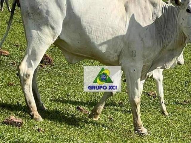 Fazenda à venda, 2541000 m² por R$ 15.925.000,00 Área Rural Santa Rita de Caldas/MG