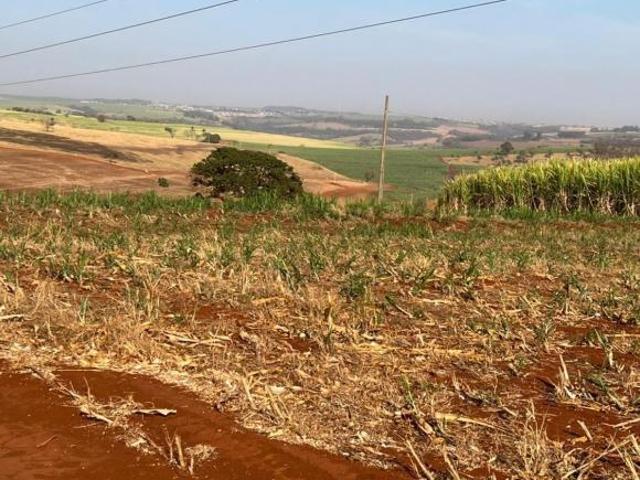 FAZENDA À VENDA, 2662000 M² POR R$ 30.000.000 ÁREA RURAL DE BATATAIS BATATAIS/SP