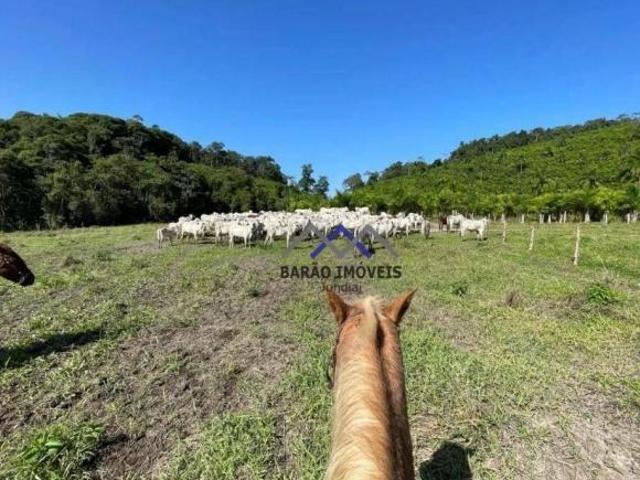 Fazenda à venda, 2662000 m² por R$ 5.550.000,00 Eldorado Eldorado/SP