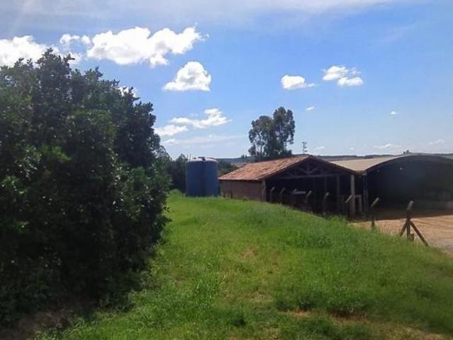 Fazenda à venda, 2710400 m² por R$ 40.000.000,00 Matão Buri/SP