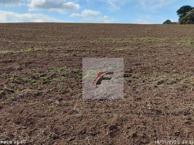 Fazenda à venda, 28 alqueires por R$ 2.600.000 Zona Rural Quitandinha/PR