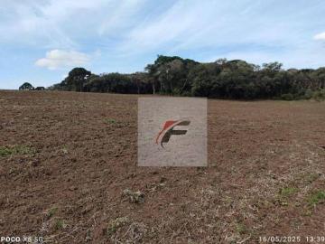 Fazenda à venda, 28 alqueires por R$ 2.600.000 Zona Rural Quitandinha/PR