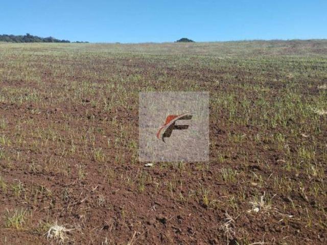 Fazenda à venda, 28 alqueires por R$ 2.600.000 Zona Rural Quitandinha/PR