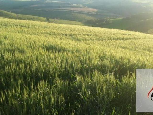 Fazenda à venda, 2988700 m² por R$ 37.000.000,00 Rural Faxinal/PR