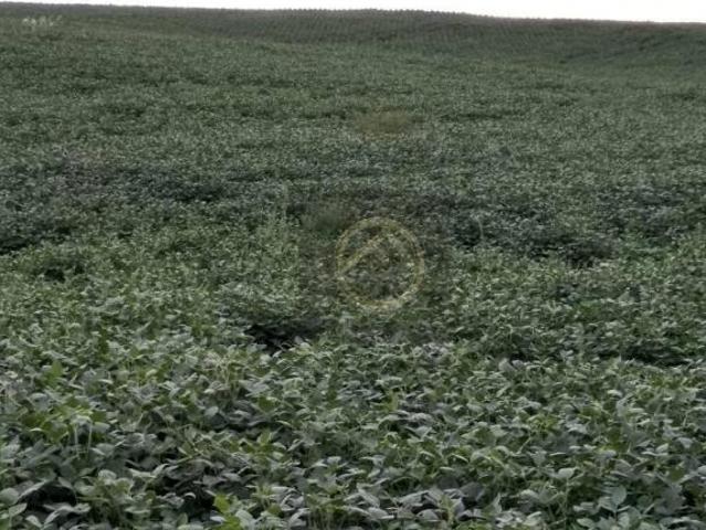 Fazenda à venda, 3000800 m² Centro Candói/PR