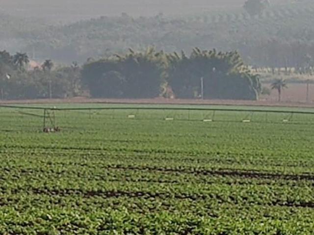 FAZENDA À VENDA, 3230000 M² POR R$ 31.000.000 CASA BRANCA/SP