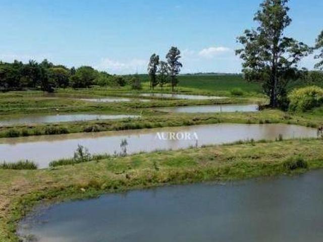 Fazenda à venda, 338800 m² por R$ 7.500.000,00 Residencial São Francisco Leópolis/PR