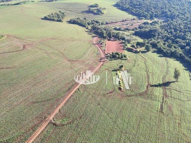 Fazenda à venda, 4065600 m² por R$ 32.000.000,00 Zona Rural Cornélio Procópio/PR