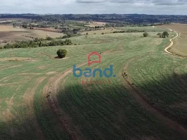 Fazenda à venda, 40 alqueires por R$ 16.000.000,00 Bom Retiro Porto Feliz/SP