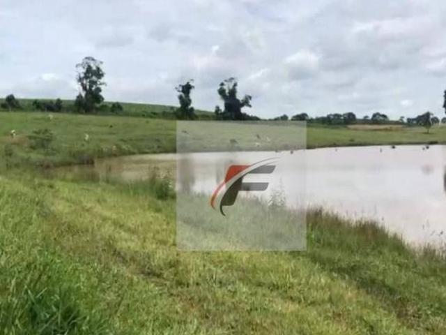 Fazenda à venda, 40 alqueires por R$ 6.000.000 Centro Irati/PR