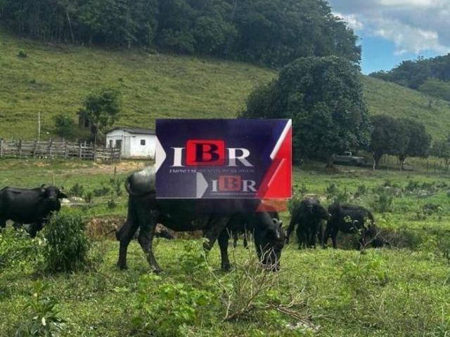 Fazenda à venda, 4477000 m² por R$ 10.200.000,00 Formoso Sete Barras/SP