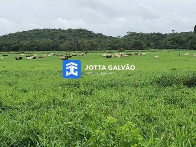 Fazenda a venda.568.31500 m² residente Alves, SP