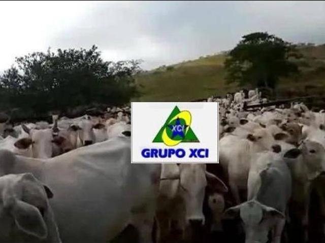 Fazenda à venda, 605000 m² por R$ 3.635.000,00 Residencial Vale do Sol Cachoeira Paulista/SP