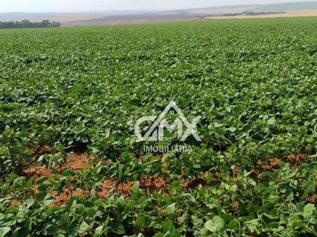Fazenda à venda, 650 alqueires por R$ 260.000.000 Rural Taquarituba/SP