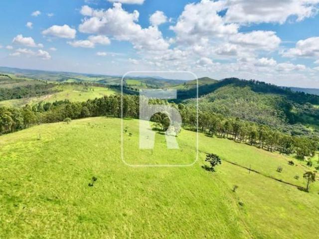Fazenda a Venda