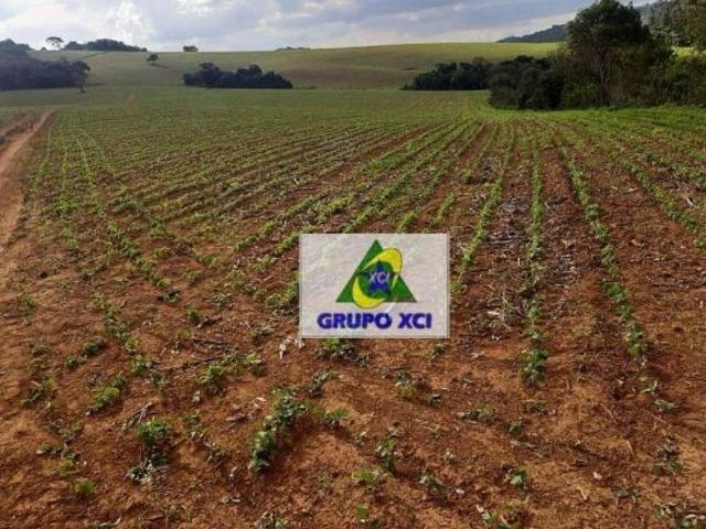 Fazenda à venda, 6776000 m² por R$ 14.000.000,00 Área Rural Santa Rita de Caldas/MG