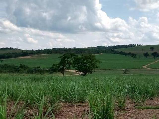 FAZENDA À VENDA, 7332600 M² POR R$ 70.000.000 ALTINÓPOLIS/SP