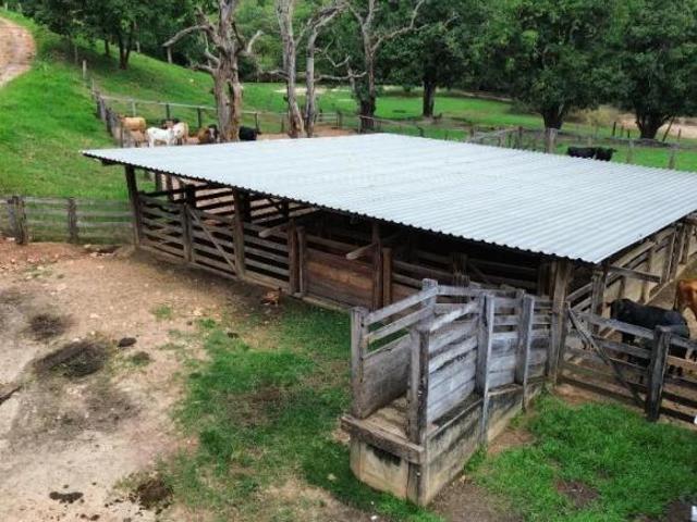 Fazenda a venda 82 alqueires em Campinacu Goiania GO