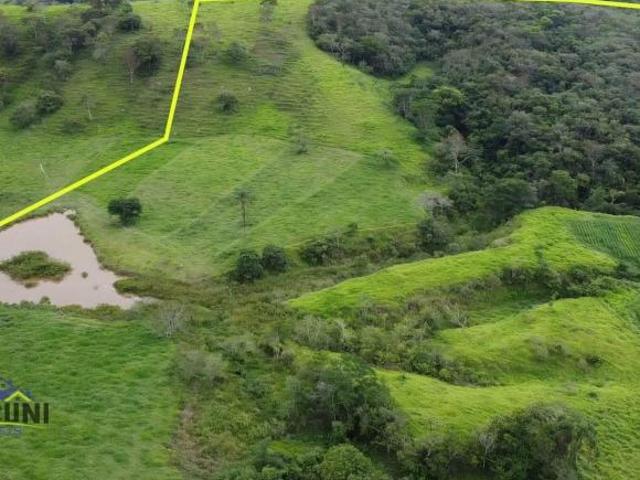 Fazenda à venda,85 hectares no povoado do Frazão, Cláudio, MG