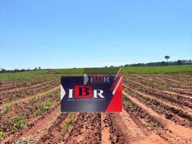 Fazenda à venda, 9196000 m² por R$ 55.000.000,00 Zona Rural Presidente Epitácio/SP