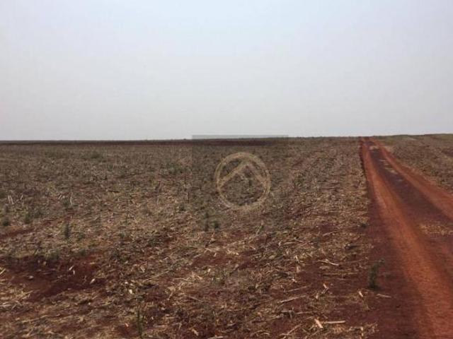 Fazenda à venda, 9825200 m² por R$ 55.000.000,00 Centro Tamarana/PR