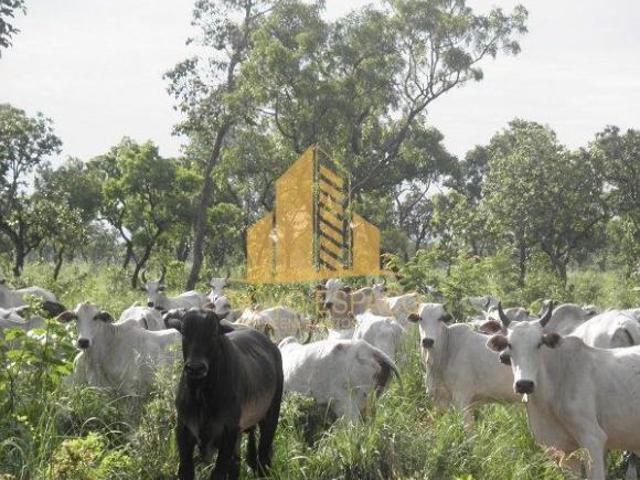 Fazenda à venda com área total de 4.988 hectares ou 1030 alqueires