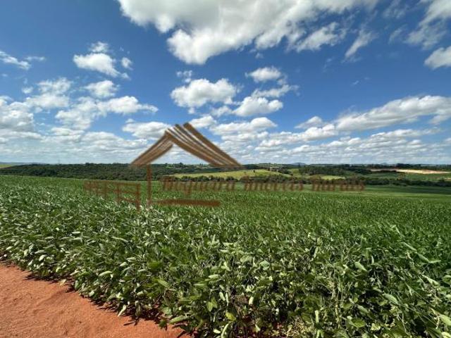 Fazenda à venda com 116 alqueires na região de Carlópolis/PR