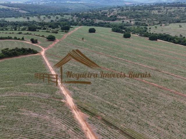 Fazenda a venda com 206 alqueires, plantado cana na região de Brotas SP