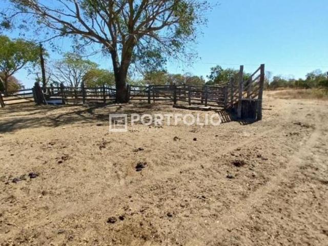 Fazenda à venda com 46 alqueires na Zona Rural de Jaraguá, GO