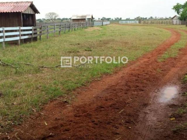 Fazenda à venda com 773 alqueires em Mato Grosso, MT