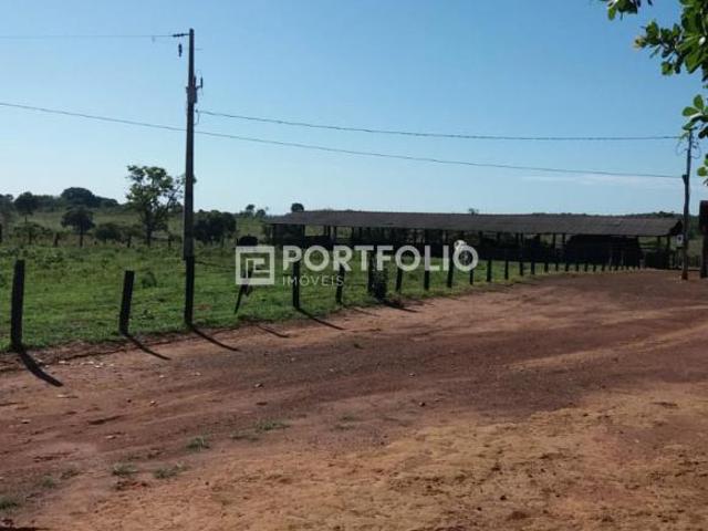 Fazenda à venda com 787,9 hectares em Nova Xavantina, Mato Grosso