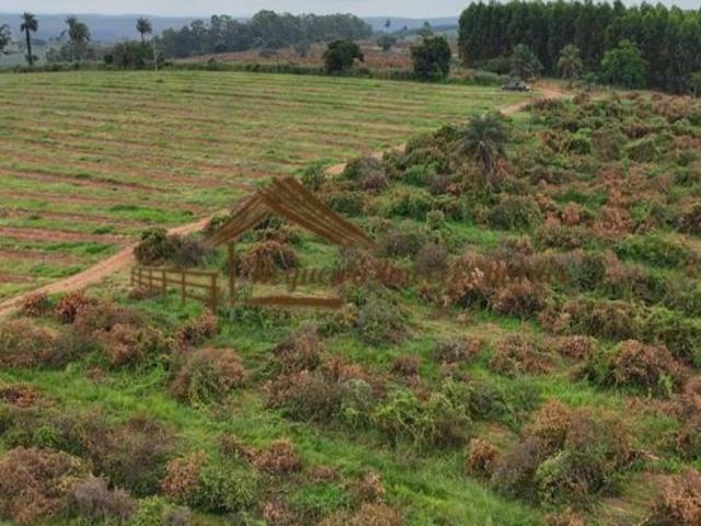 Fazenda a venda com 73 alqueires na região de Anhembi SP