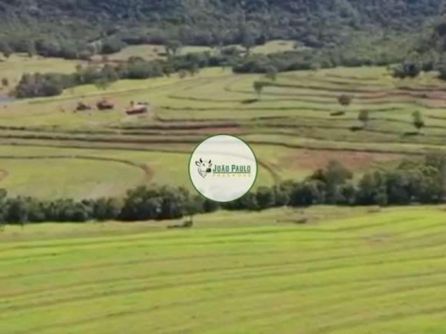Fazenda a venda Campina Verde MG 607 Hectares Dupla aptidão agricultura e pecuária
