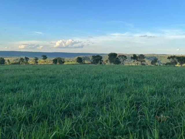 Fazenda a venda a 35 km de Campina Verde