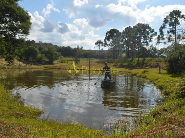 Fazenda à venda, bairro Campo Alegre, Cunha, SP
