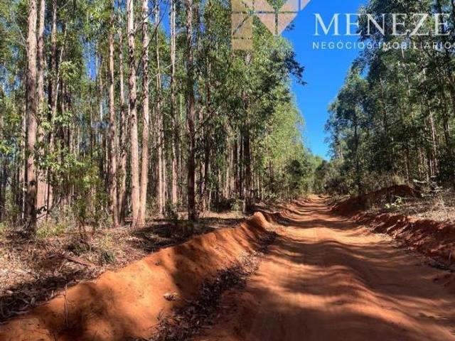 FAZENDA À VENDA BURITIZEIRO MG